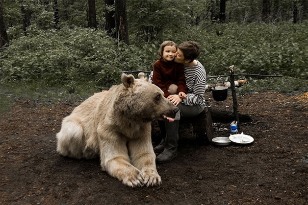 Sessão de fotos com urso (Crédito: Reprodução)