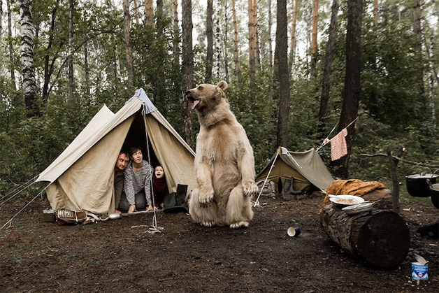 Sessão de fotos com urso (Crédito: Reprodução)
