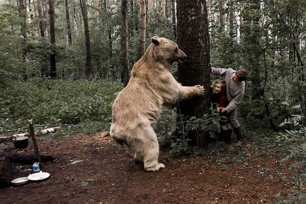 Sessão de fotos com urso (Crédito: Reprodução)
