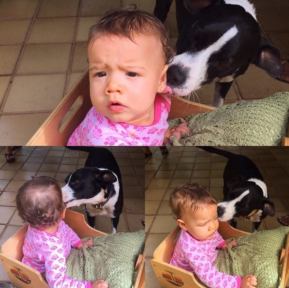 Liz, filha de Luana Piovani, ganha 'beijo' da cachorrinha Latinha (Crédito: Reprodução)