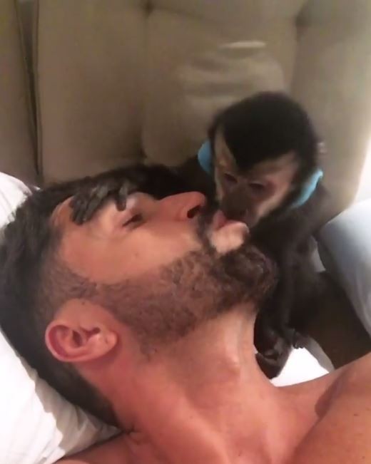Latino e seu macaco (Crédito: Reprodução/ Snapcaht)