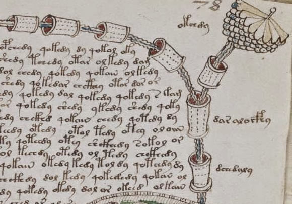Manuscrito Voynich (Crédito: Reprodução)