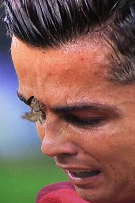 Choro de Cristiano Ronaldo na final da Euro rende memes na web (Crédito: Reprodução)
