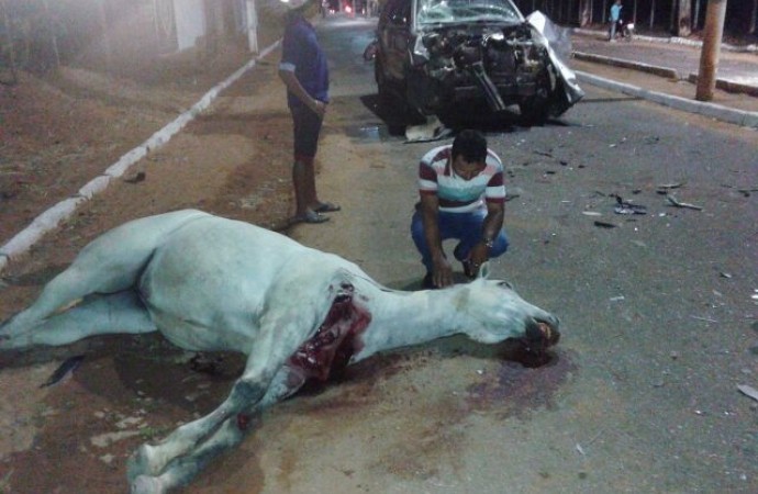 Morte do animal comoveu populares