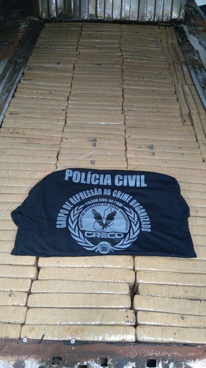 Apreensão da Polícia Civil (Crédito: Reprodução )