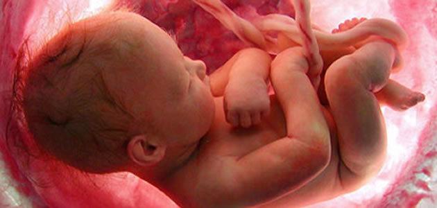 Por que os bebês não se afogam na placenta da mãe?