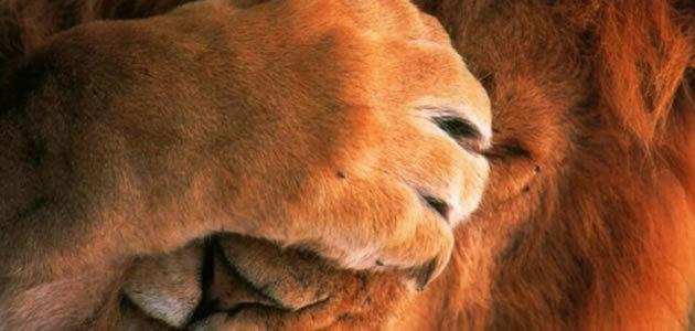 8 situações constrangedoras que você já vivenciou