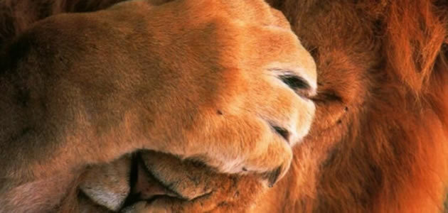 8 situações constrangedoras que você já vivenciou