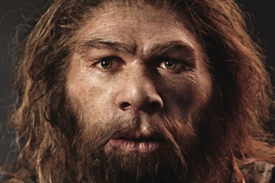Pesquisadores dizem que neandertais praticavam canibalismo