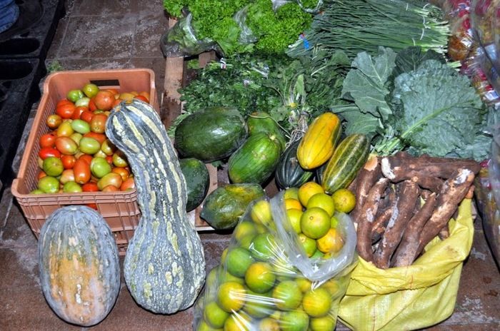 Feira é realizada anualmente em União (Crédito: STTR)