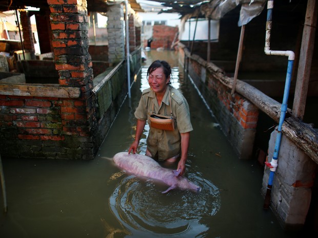 Mulher chora morte de porco em fazenda inundada em Xiaogan, na China