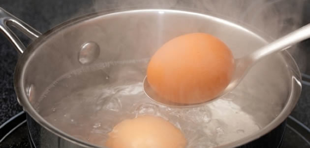 Ciência mostra como cozinhar o ovo perfeito