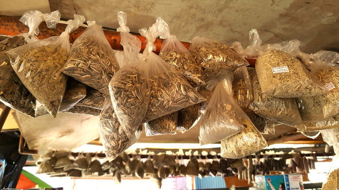 Sementes nativas são receitadas para a cura de muitas doenças: ETNOBOTÂNICA está interessada em pesquisar ainda mais a sabedoria popular. (Crédito: Alcide Filho)