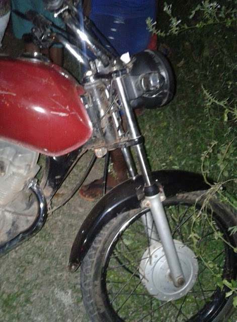 Acidente envolveu moto e cavalo (Crédito: Reprodução)