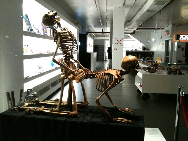 Conheça o curioso Museu do Sexo em Nova York (Crédito: Reprodução)