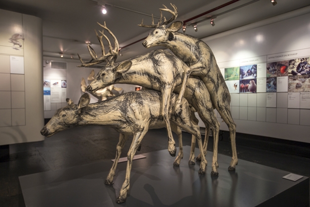 Conheça o curioso Museu do Sexo em Nova York (Crédito: Reprodução)