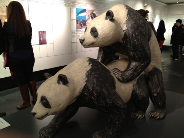 Conheça o curioso Museu do Sexo em Nova York (Crédito: Reprodução)