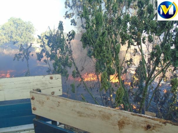 Incêndio (Crédito: Reprodução)