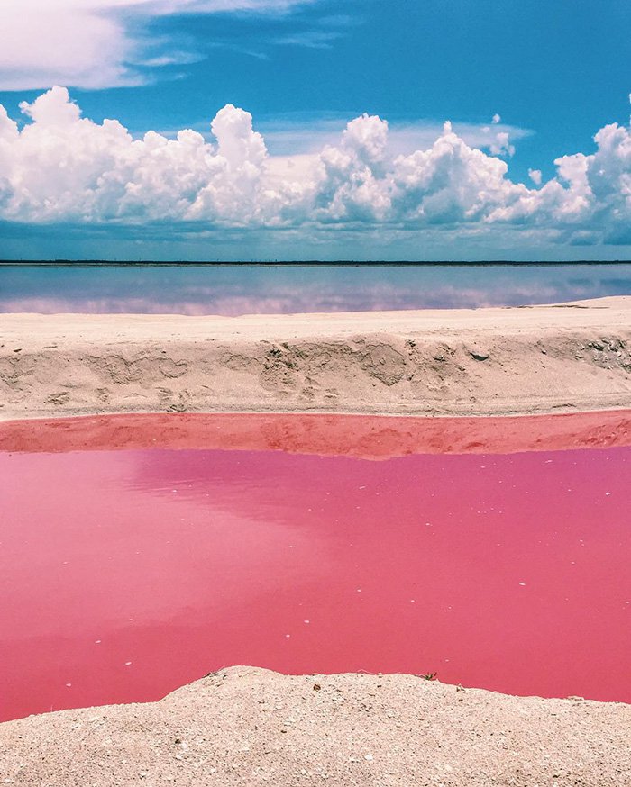 Lagoa rosa (Crédito: Reprodução)