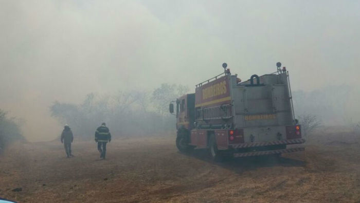 Incêndio florestal em Picos (Crédito: Reprodução)