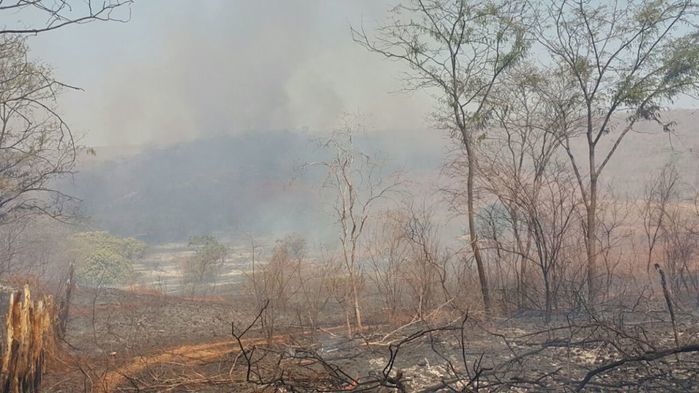 Incêndio florestal em Picos (Crédito: Reprodução)