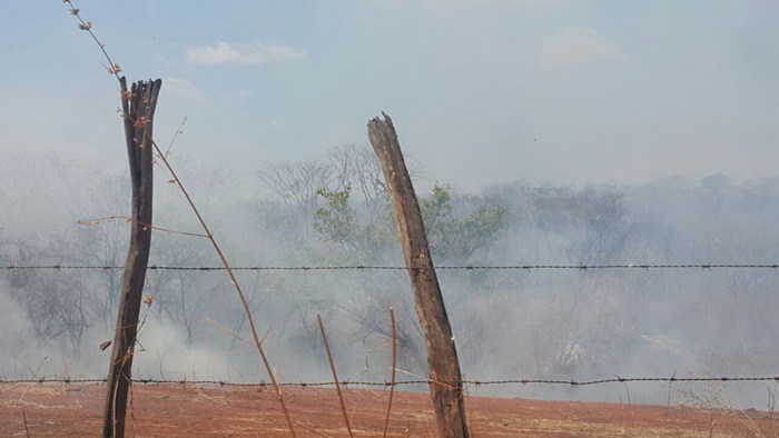 Incêndio florestal em Picos (Crédito: Reprodução)