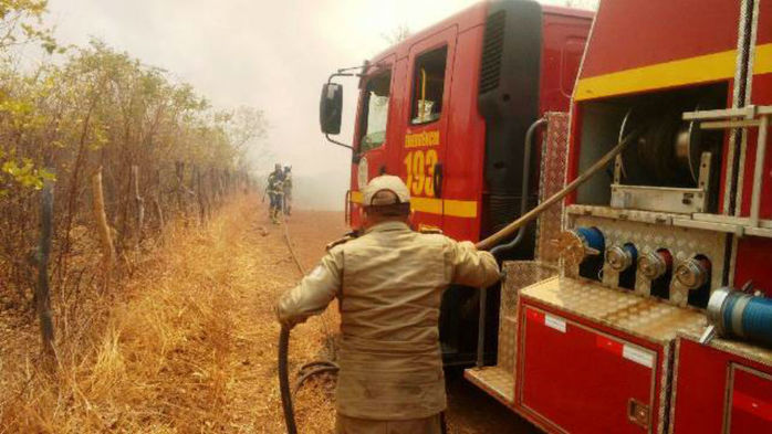 Incêndio florestal em Picos
