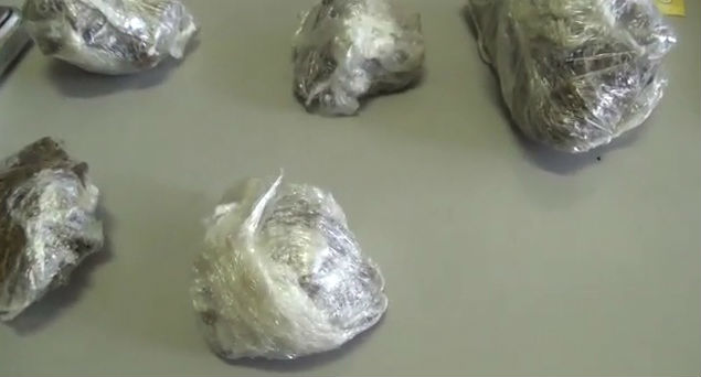 Tijolos de maconha apreendidos pela Depre (Crédito: Rede Meio Norte)