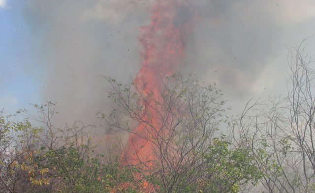 Incêndio contgrolado na manhã desta quinta (Crédito: Grande Picos)