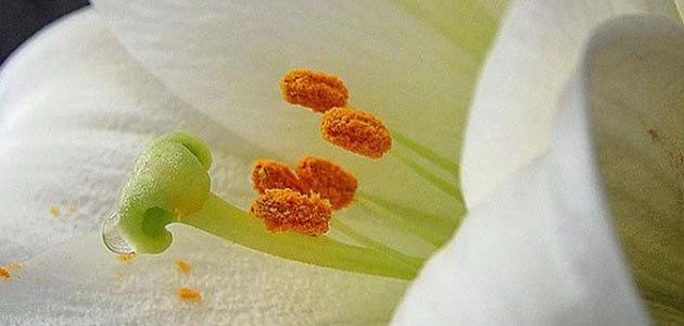 9 coisas normais que podem te matar