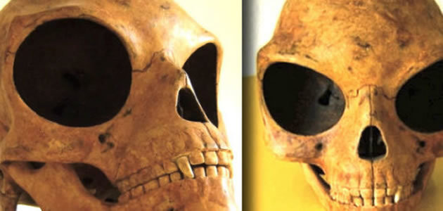 Pesquisadores encontram crânio “extraterrestre”