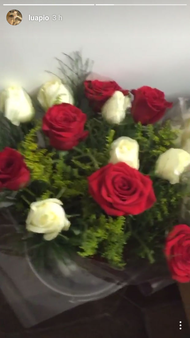 Luana Piovani recebe flores de Pedro Scooby e posta vídeo na web (Crédito: Reprodução)