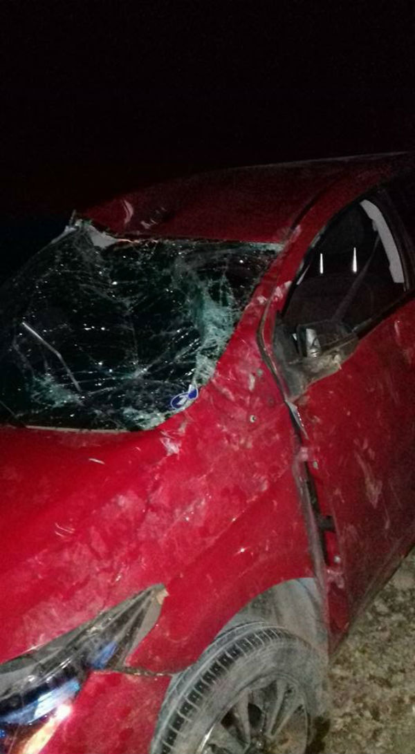 Carro com professores capota na BR-407 (Crédito: Cidades na net)