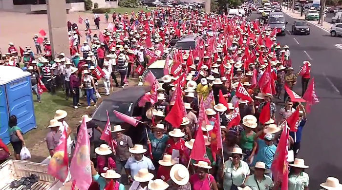 21º Grito da Terra (Crédito: Reprodução)