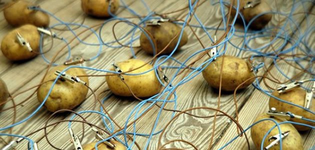 Batata cozida pode iluminar quarto por mais e um mês
