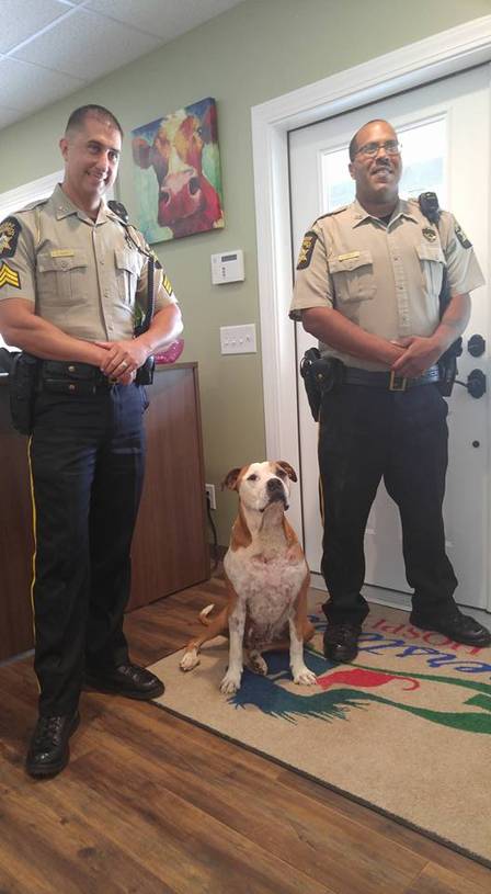 O cão foi resgatado por dois policiais (Crédito: Reprodução)