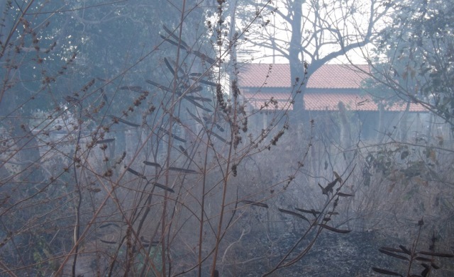 Incêndio em José de Freitas (Crédito: Reprodução)