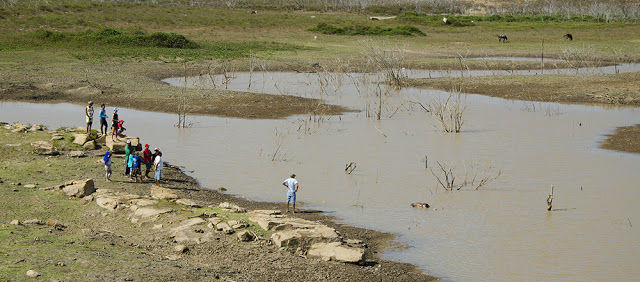 Açude localizado no distrito Juá dos Vieira, na cidade de Viçosa do Ceará, (Crédito: Blog do Coveiro)