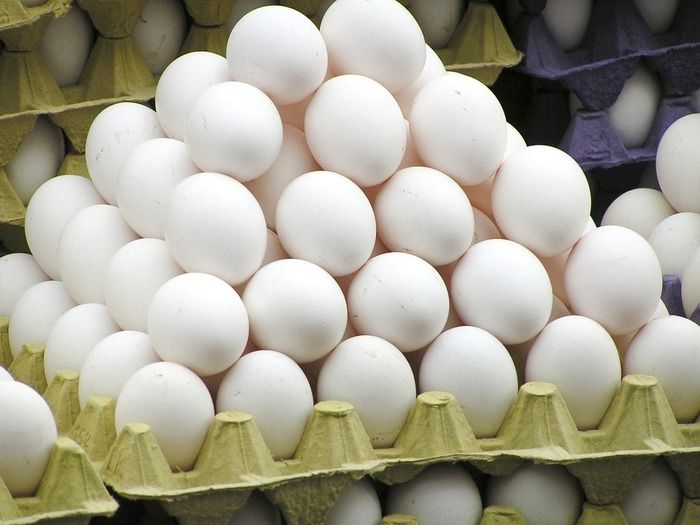 Brasil bate recorde na produção de ovos de galinha (Crédito: Reprodução)