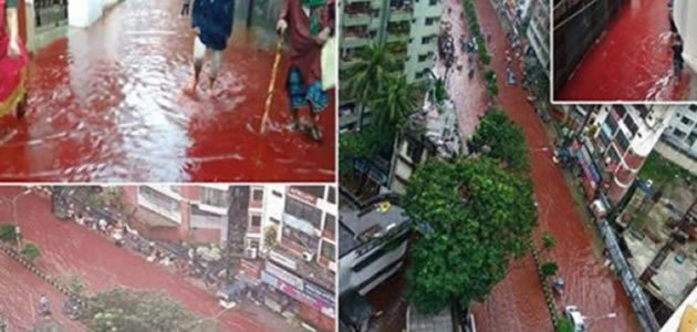 Ritual Islâmico transforma ruas em rios de sangue