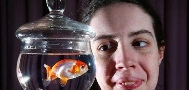 Australiana paga R$ 1,2 mil para salvar peixinho engasgado