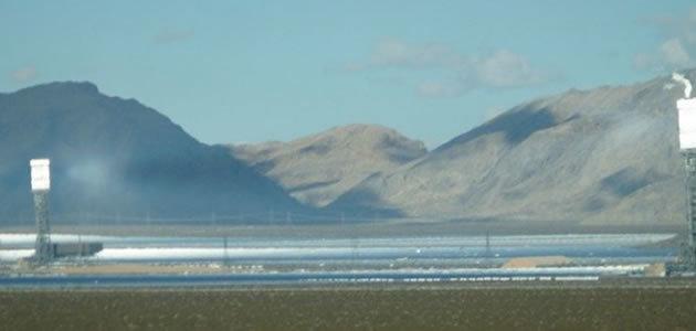 Usina de energia solar mata cerca de 6 mil pássaros por ano