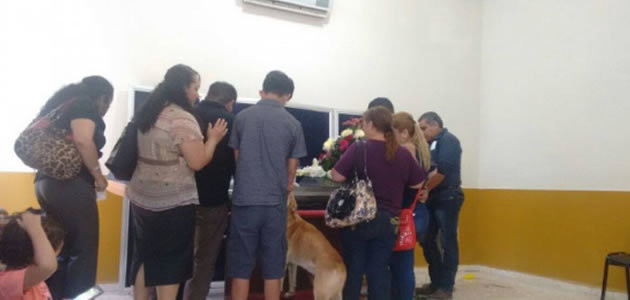 Cão desaparecido reaparece em velório da dona
