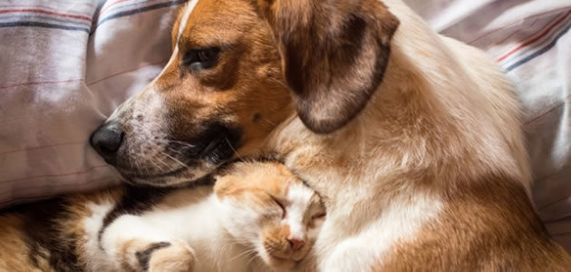 Abraço deixa as pessoas mais felizes