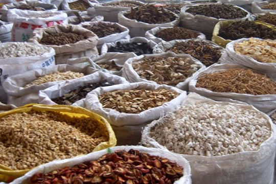 7 coisas que você não sabia sobre as plantas medicinais