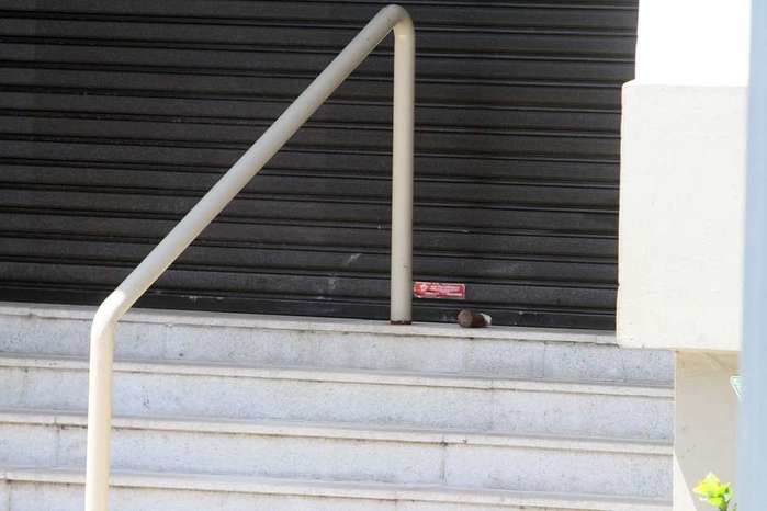 Granada foi encontrada em uma das entradas do shopping (Crédito: Futura Press)