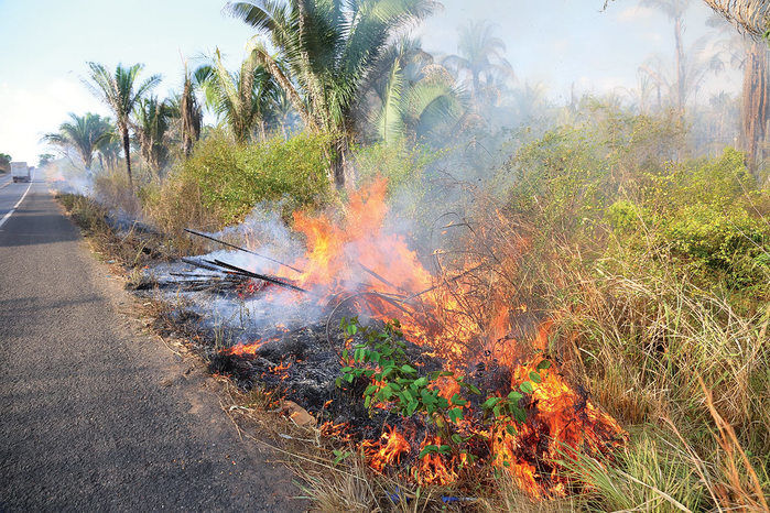 Fogo atinge mata às margens de rodovia no Piauí (Crédito: Efrém Ribeiro)
