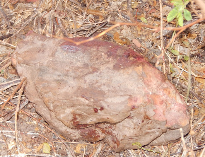 Pedra utilizada durante o crime