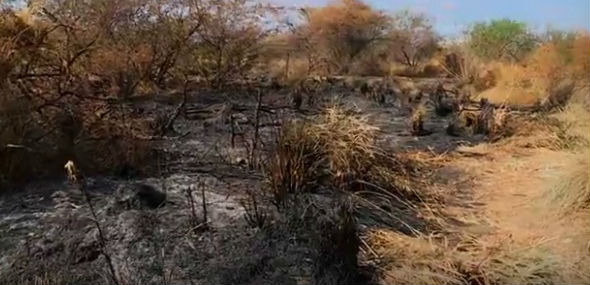 Local onde as joveens foram encontradas foi incendiado (Crédito: Reprodução)