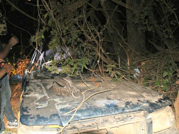 Carro da família saiu da pista, capotou e bateu em árvore (Crédito: Reprodução)